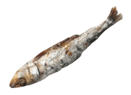 Sardina cabeza abajo izquierda