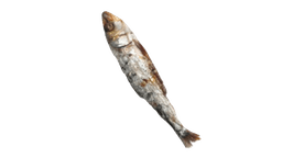 Sardina cabeza arriba izquierda